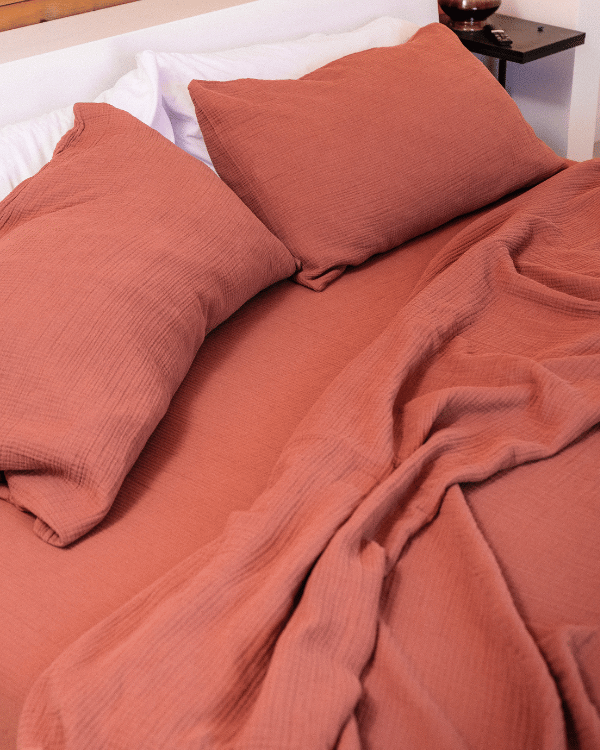 Sonoran Pillow Case 2 Pack - Terracotta