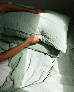 Sonoran Pillow Case 2 Pack - Sage