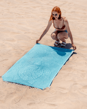 Swirl Turtle