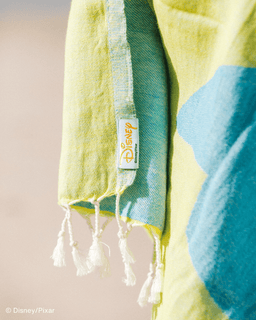 Disney Pixar - Woody Kids