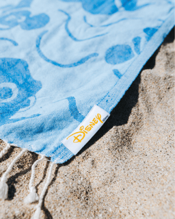 Disney and Pixar Dory