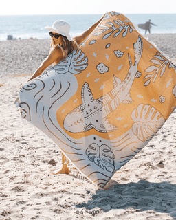 Monstera Shark Large - Discovery