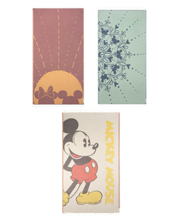 Disney Mickey - Minnie Bundle