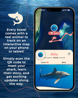 Phone screen showing an app interface with a shark and text about towel tracking and QR code scanning.