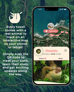 Phone screen showing a sloth tracking app with text about towel features and QR code scanning.