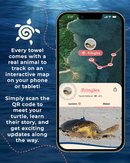 Phone screen showing an interactive map with a turtle and text about towel promotions and QR codes.