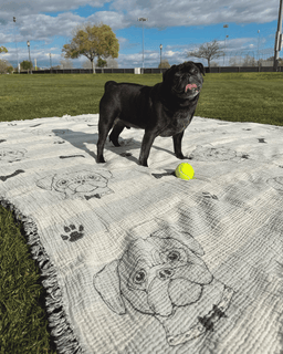 Pug - PARTY BLANKET™