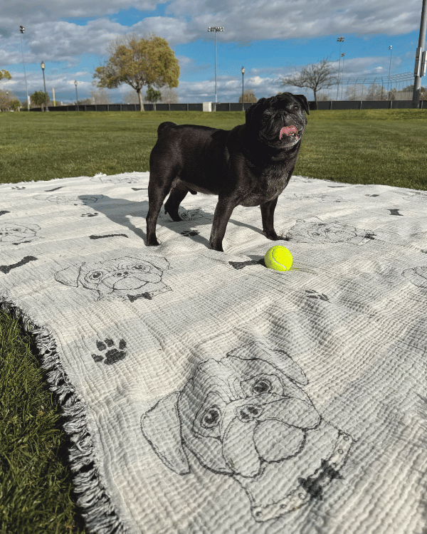 Pug - PARTY BLANKET™