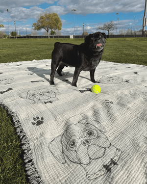 Pug - PARTY BLANKET™