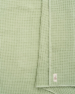Little Fishies Waffle Blanket - Sage