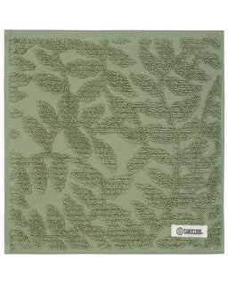 Leccino Bath Washcloth Bundle - 6 Pack - Olive