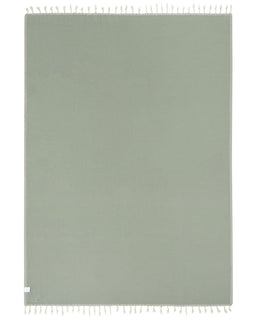 Sonoran Blanket Sage