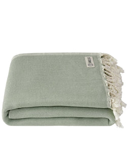 Sonoran Blanket Sage