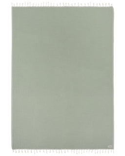 Sonoran Blanket Sage