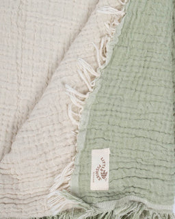Little Fishies Gauze Receiving Blanket - Sage