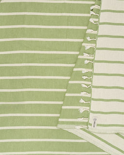 Micro Set Stripe - Fern