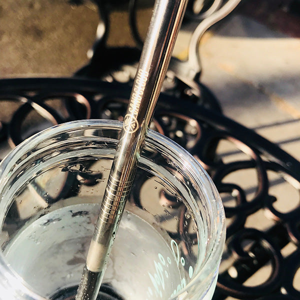 Silver Metal Straw - Sand Cloud