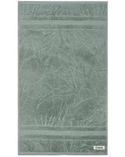 Aquatic Turtle Hand Bath Bundle - 2 Pack - Sage