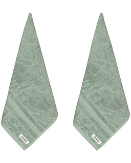 Aquatic Turtle Hand Bath Bundle - 2 Pack - Sage