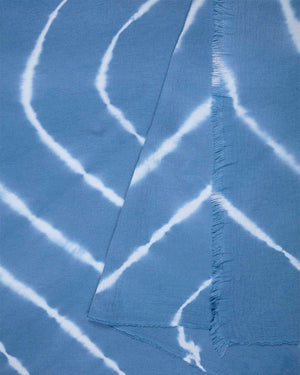 Shock Waves